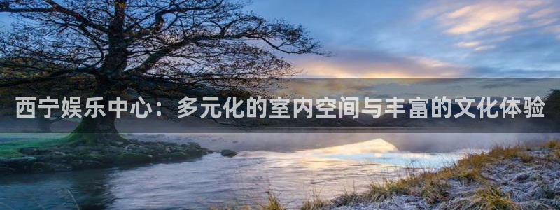 奇亿娱乐app：西宁娱乐中心：多元化的室内空间与丰富的文化体验