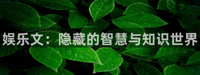 奇亿娱乐手机app下载：娱乐文：隐藏的智慧与知识世界