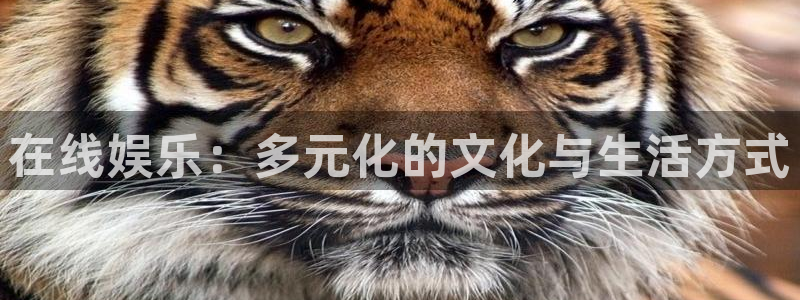 奇亿娱乐app：在线娱乐：多元化的文化与生活方式