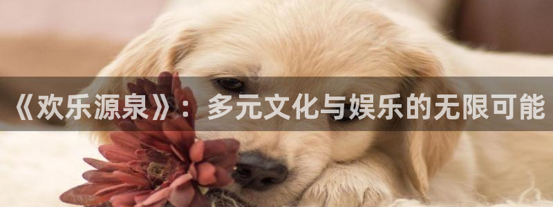 奇亿娱乐官方网站首页：《欢乐源泉》：多元文化与娱乐的无限可能