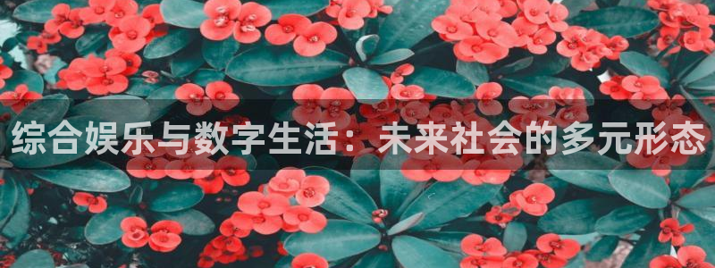 奇亿娱乐登录：综合娱乐与数字生活：未来社会的多元形态