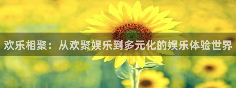 奇亿娱乐官方网站首页：欢乐相聚：从欢聚娱乐到多元化的娱乐体验世界