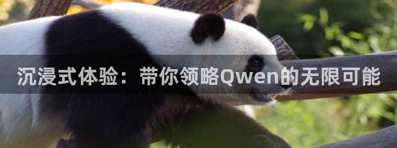 奇亿娱乐：沉浸式体验：带你领略Qwen的无限可能