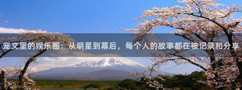 奇亿娱乐home：宠文里的娱乐圈：从明星到幕后，每个人的故事都在被记录和分享